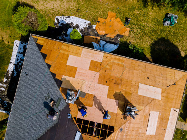 Professional Roofing Contractor in Dyer, TN