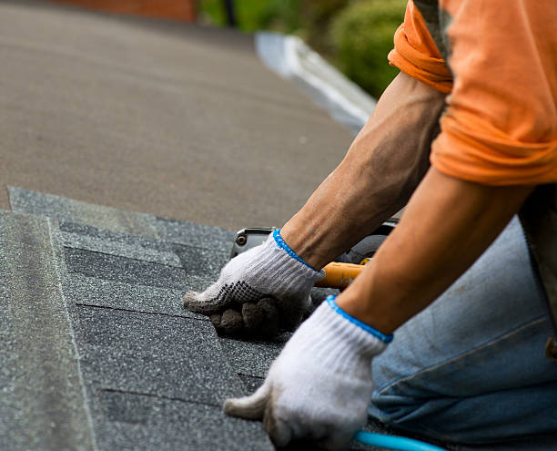 Roof Gutter Cleaning in Dyer, TN